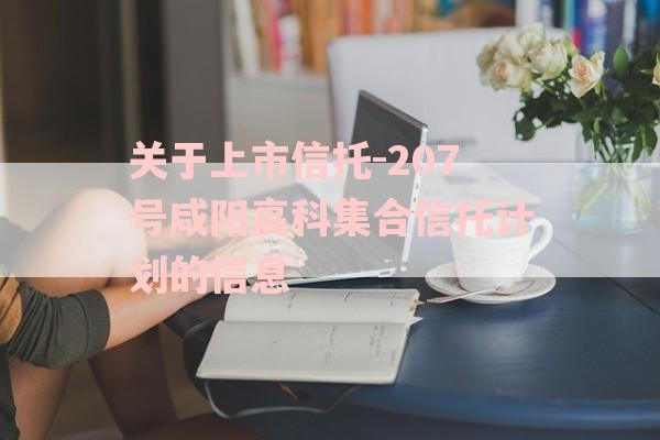 关于上市信托-207号咸阳高科集合信托计划的信息