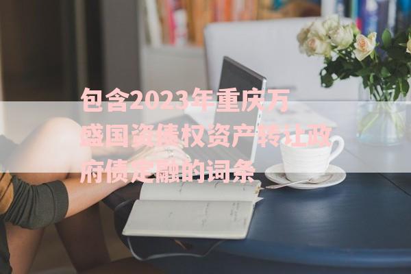 包含2023年重庆万盛国资债权资产转让政府债定融的词条