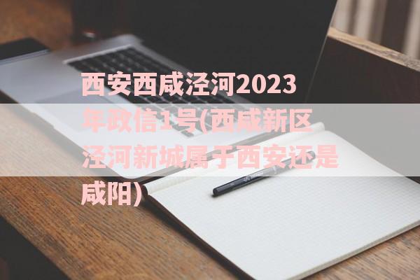 西安西咸泾河2023年政信1号(西咸新区泾河新城属于西安还是咸阳)