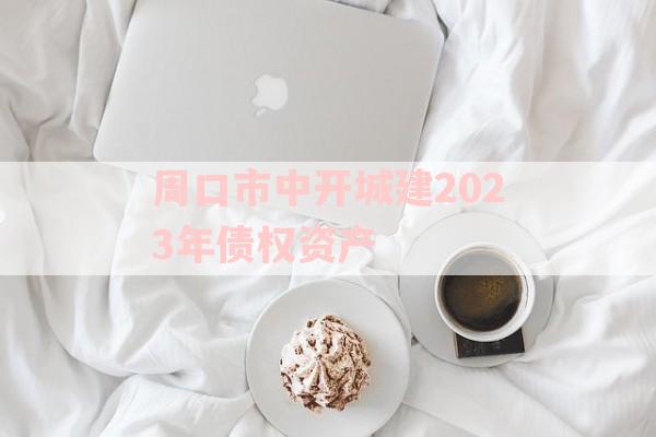 周口市中开城建2023年债权资产