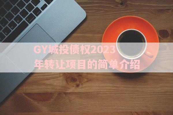 GY城投债权2023年转让项目的简单介绍