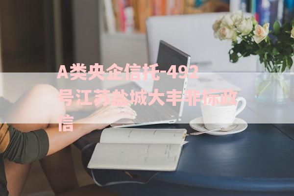 A类央企信托-492号江苏盐城大丰非标政信