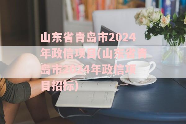 山东省青岛市2024年政信项目(山东省青岛市2024年政信项目招标)