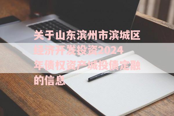 关于山东滨州市滨城区经济开发投资2024年债权资产城投债定融的信息