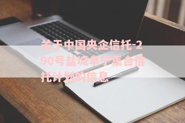 关于中国央企信托-290号盐城阜宁集合信托计划的信息