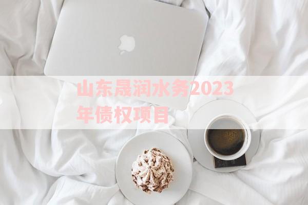 山东晟润水务2023年债权项目