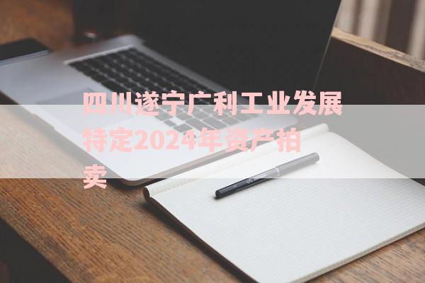 四川遂宁广利工业发展特定2024年资产拍卖