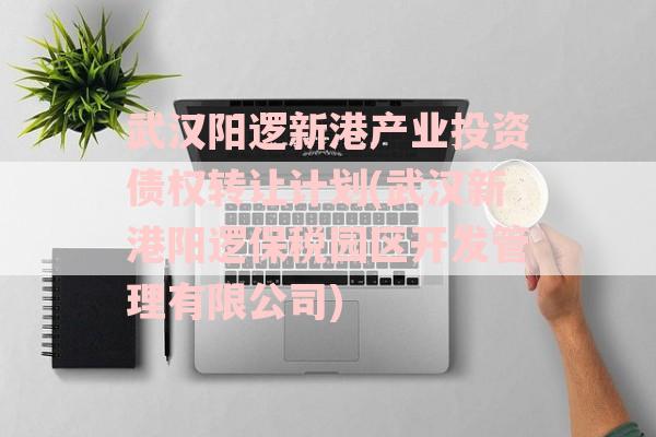 武汉阳逻新港产业投资债权转让计划(武汉新港阳逻保税园区开发管理有限公司)