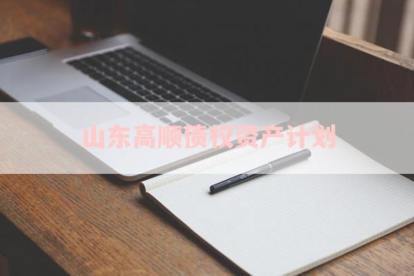 山东高顺债权资产计划