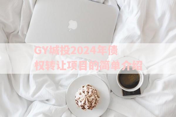 GY城投2024年债权转让项目的简单介绍