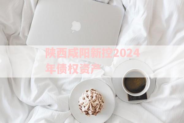 陕西咸阳新控2024年债权资产