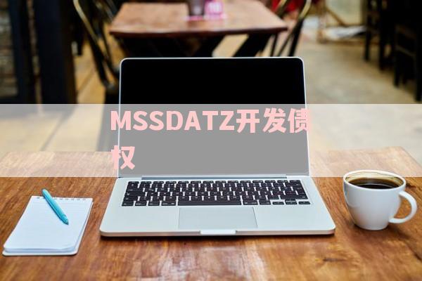 MSSDATZ开发债权