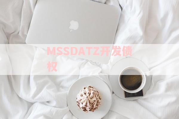 MSSDATZ开发债权