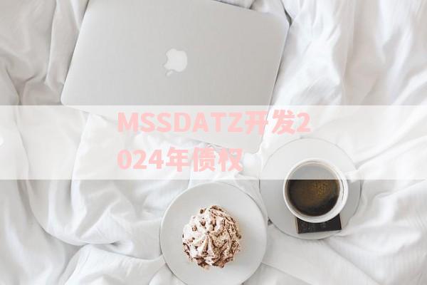 MSSDATZ开发2024年债权