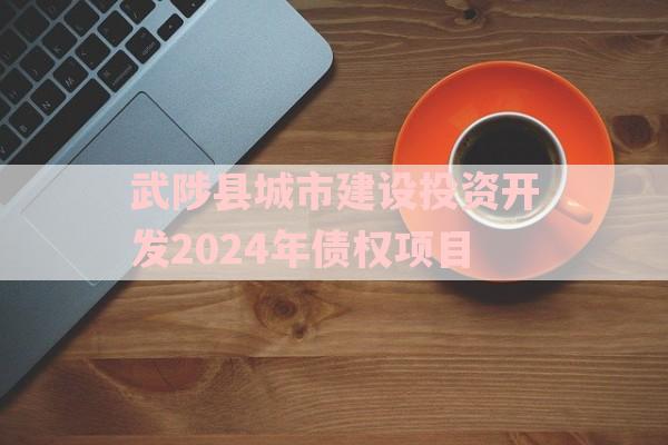 武陟县城市建设投资开发2024年债权项目