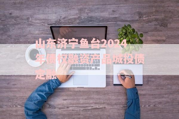 山东济宁鱼台2024年债权融资产品城投债定融