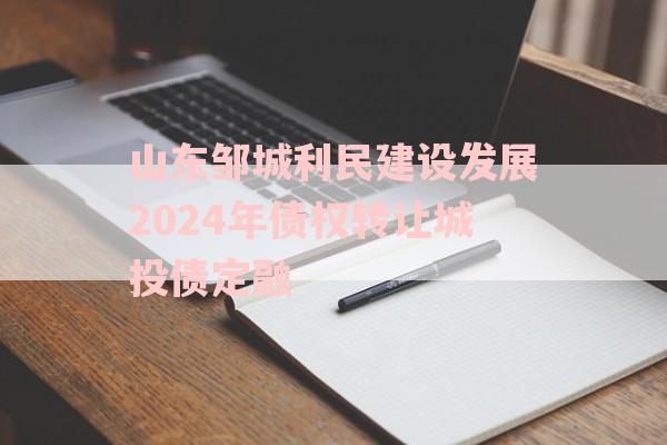 山东邹城利民建设发展2024年债权转让城投债定融