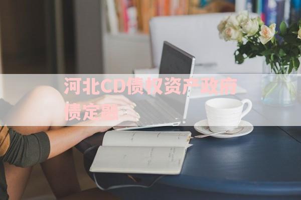 河北CD债权资产政府债定融